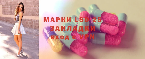 ECSTASY Алзамай