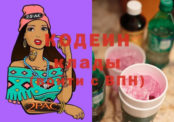ECSTASY Алзамай