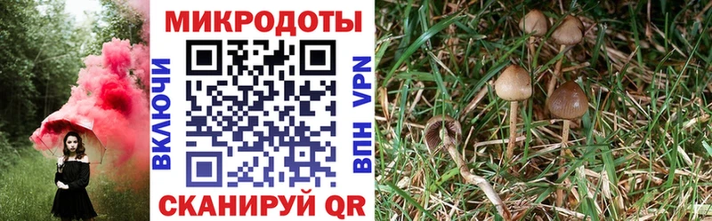 Псилоцибиновые грибы MAGIC MUSHROOMS  Кимовск 