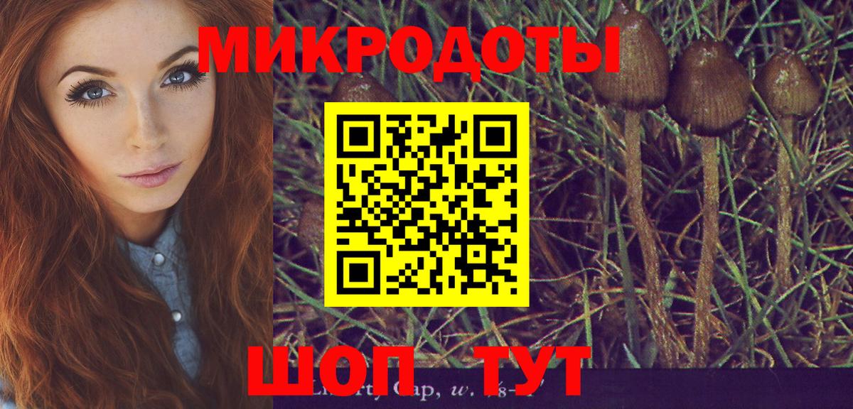 Кимовск  Галлюциногенные грибы прущие грибы  Галлюциногенные грибы Cubensis  как найти закладки  Вход с VPN 