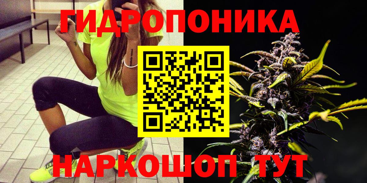 Шишки марихуана планчик  Шишки марихуана AK-47  Вход с VPN  Кимовск  Бошки Шишки SATIVA & INDICA  Конопля SATIVA & INDICA 